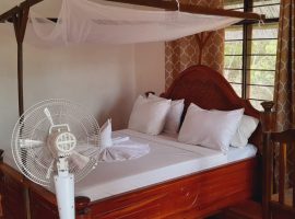 01ce3739-9c52-4af7-9659-e6ab21be0cda