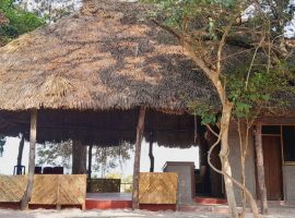 95d09f8d-5026-4191-adbe-1aac43cd3fa2