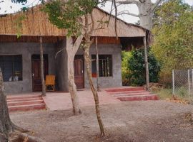 WhatsApp Image 2023-07-27 at 10.04.03 PM