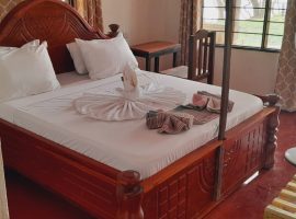 f9ef6b0b-f4ed-4b92-b851-a4539e29e7c6